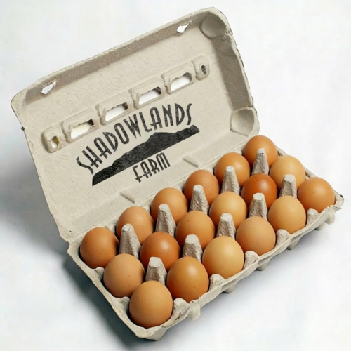 Free Range Eggs - Jumbo 18 Tray